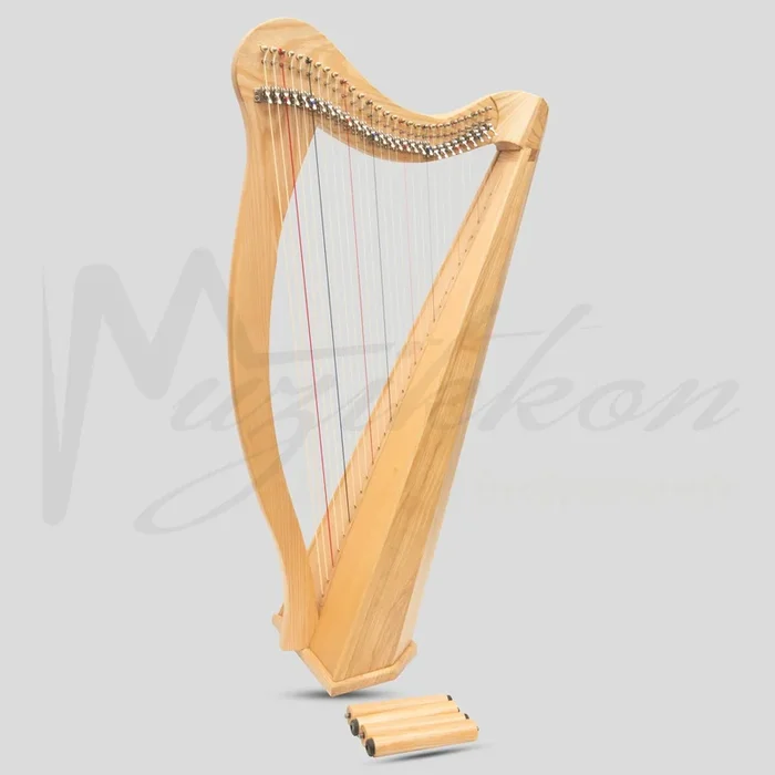 29 String Ard Ri Harp, Celtic Harp