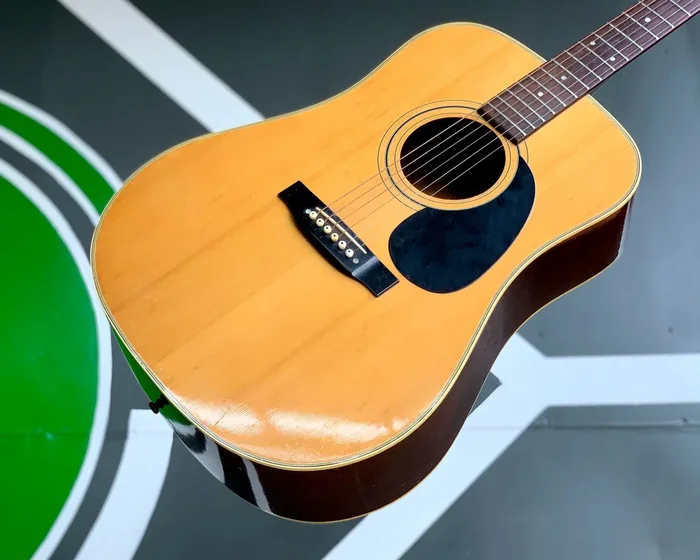 – Acoustic Guitar