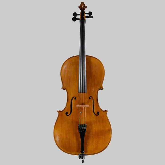 Alexandru Ozon, Bucharest 2008, Stradivarius ‘Davidov’ Cello