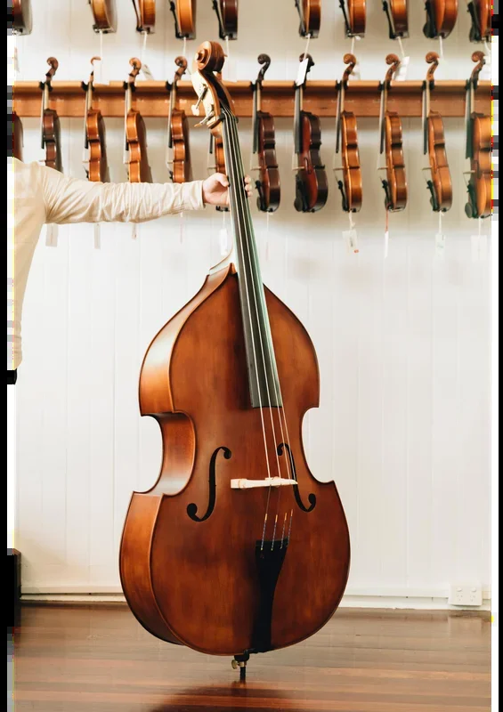 Allegro Double Bass Outfit 3/4