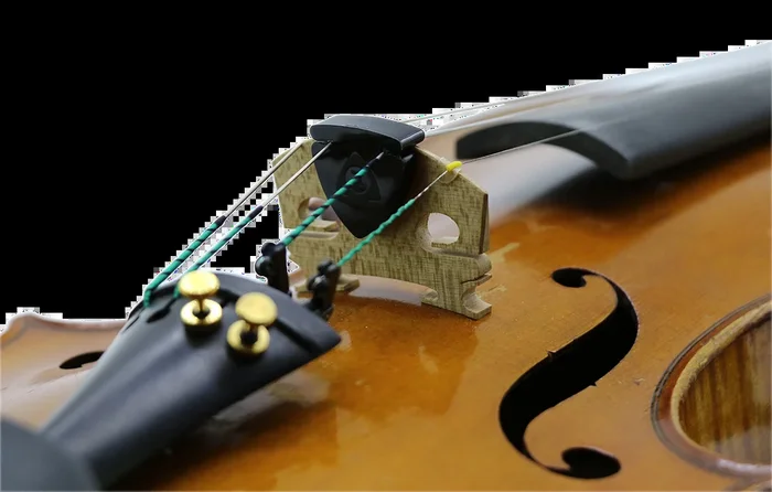 Alpine Artist Slimline Violin or Viola Mute