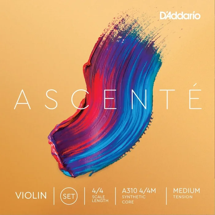 Ascenté Violin Set