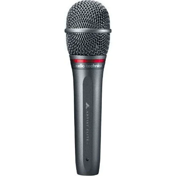 Audio-Technica AE6100 Hypercardioid Dynamic Microphone