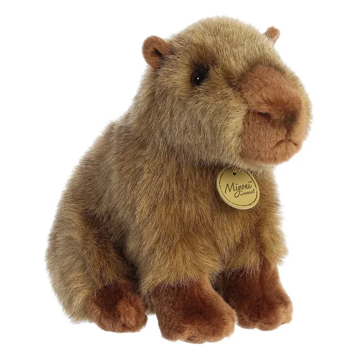 Aurora miyoni capybara