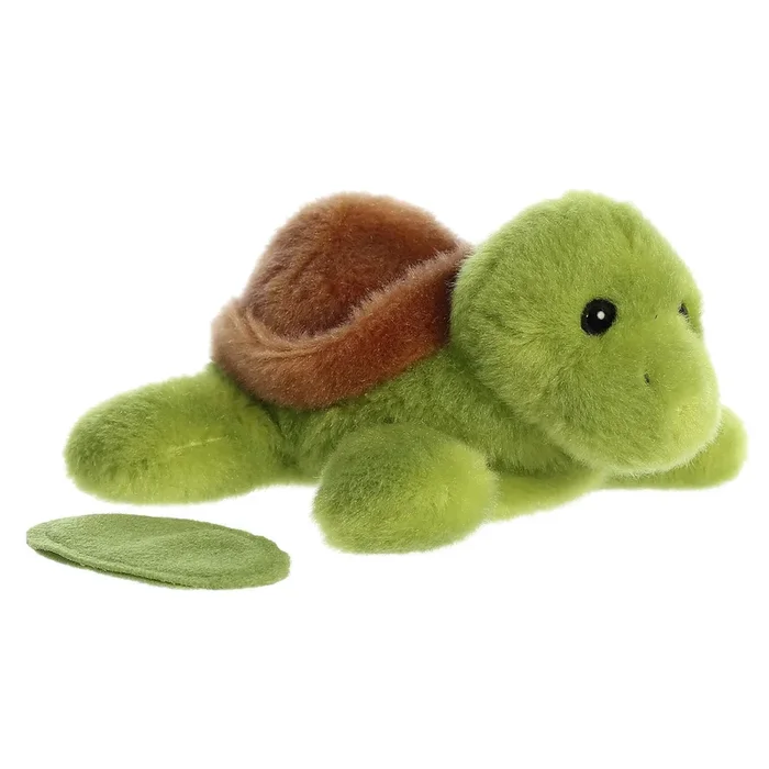 Aurora shoulderkins tal turtle