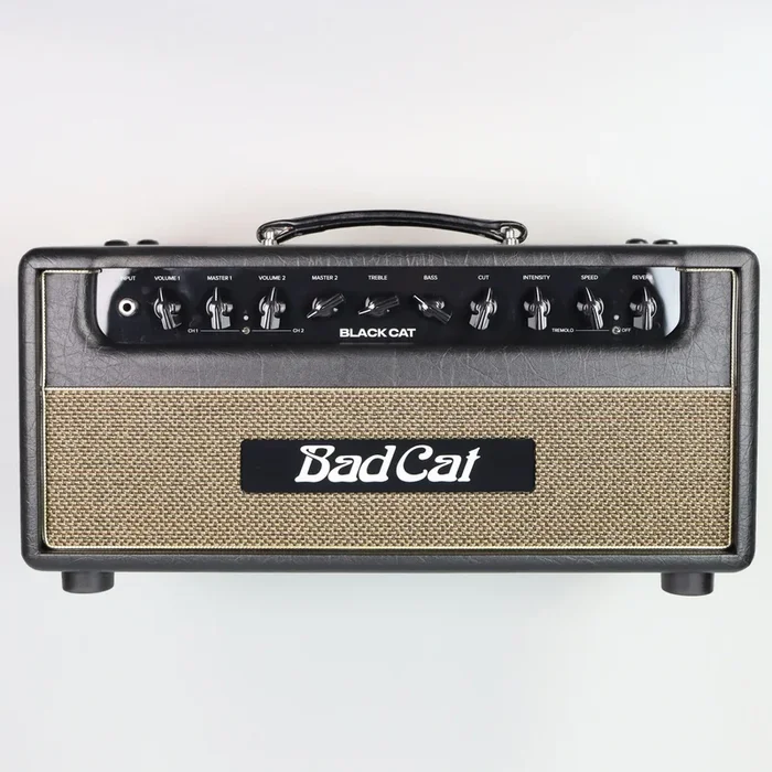 Bad Cat Black Cat 20-Watt Head
