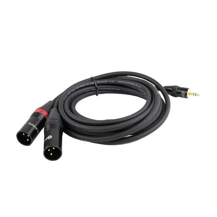 Blastking 10 ft Dual XLR Male to 1/8″ Balanced Plug Cable – C2XLRM35B