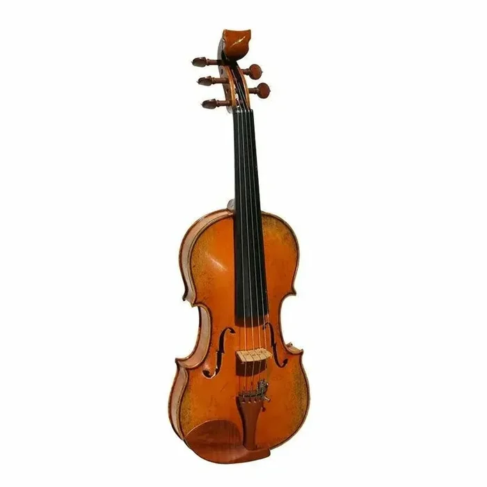 Bridge Golden Tasman Violon électro-acoustique 5 cordes