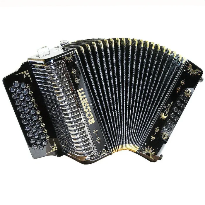 CLOSEOUT Rossetti Constantine 31 Button Professional Button Accordion, FBE, Black and Gold