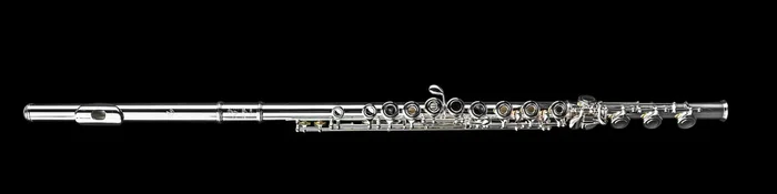 Di Zhao 401 Flute