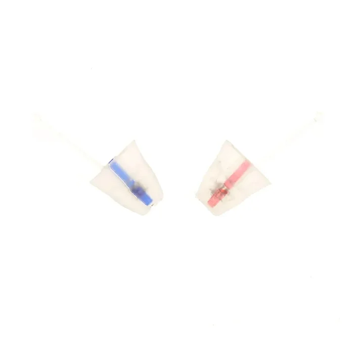 EARasers Musicians Plugs XSmall