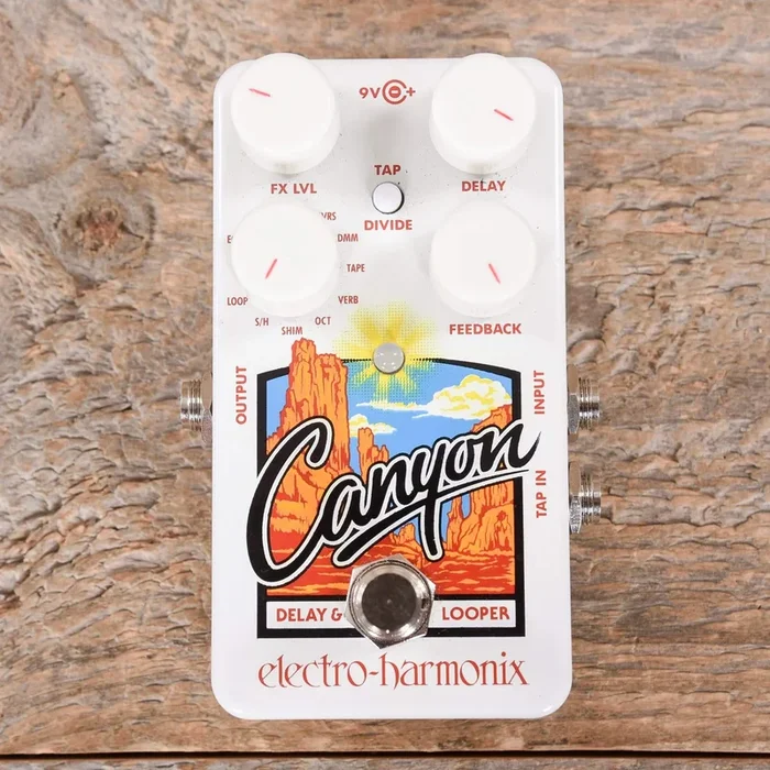 Electro-Harmonix Canyon Delay and Looper