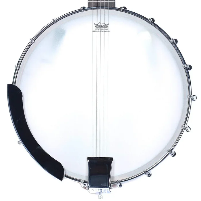 Epiphone MB-100 Banjo Natural