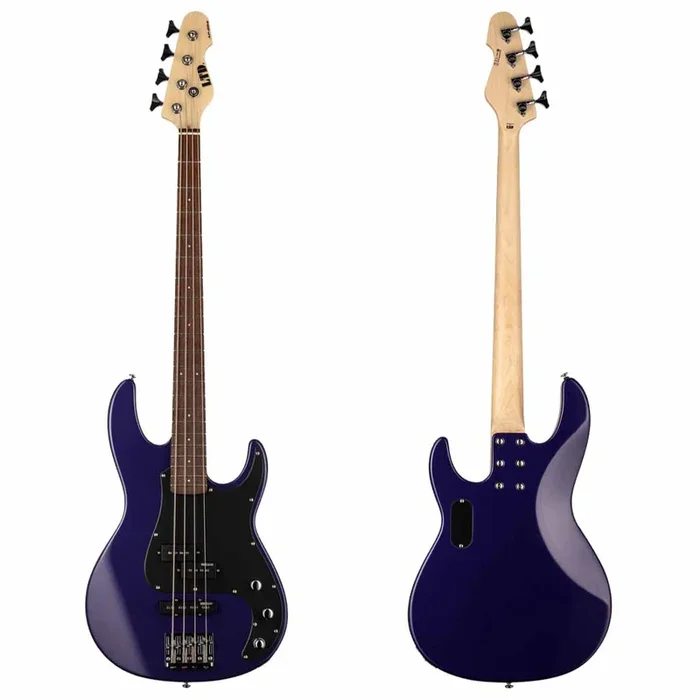 ESP LTD AP-204 4-String Electric Bass Guitar – Deep Metallic Purple