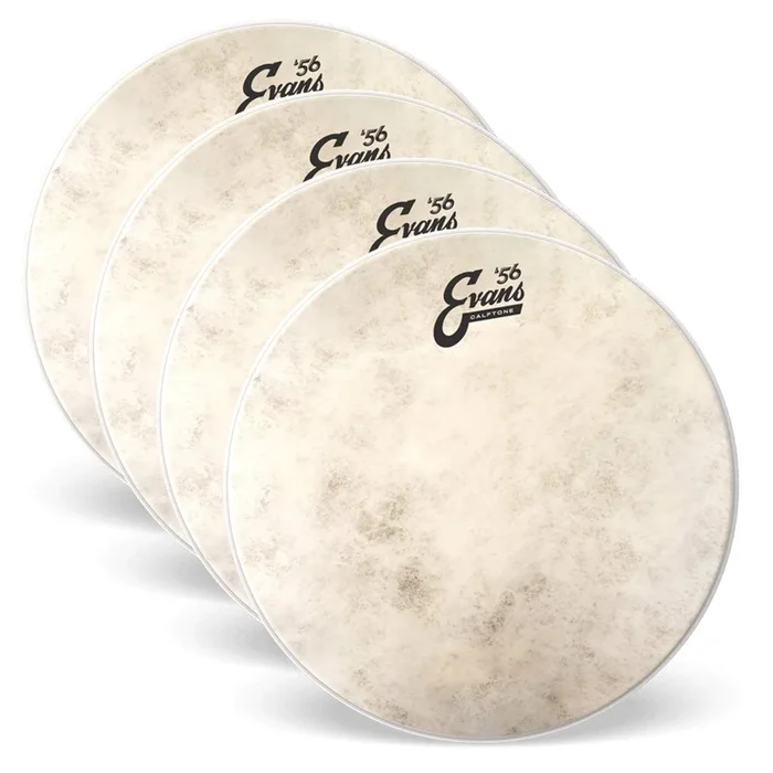 Evans 16″ Calftone Tom Head (4 Pack Bundle)