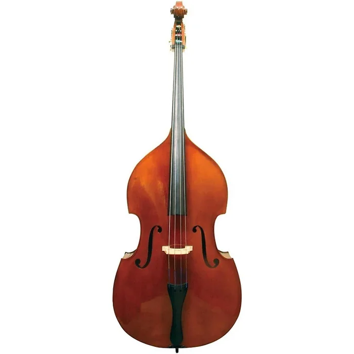 Fiori 1/2 Bass Outfit Opus 1