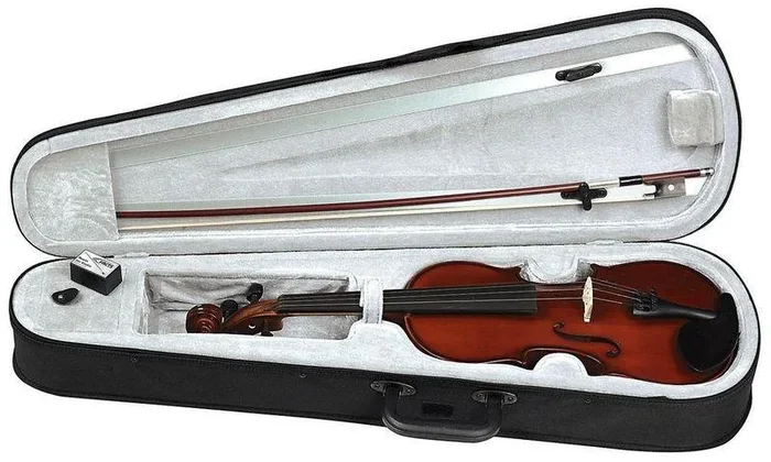 Gewa Pure Violinset HW 3/4