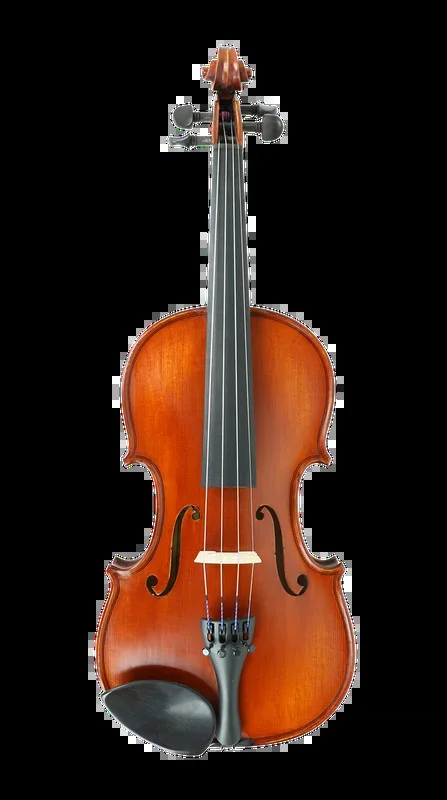 Gliga I Violin Outfit with Antique Varnish 7/8