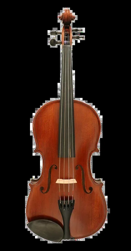 Gliga II Viola Outfit with Antique Varnish 15.5″