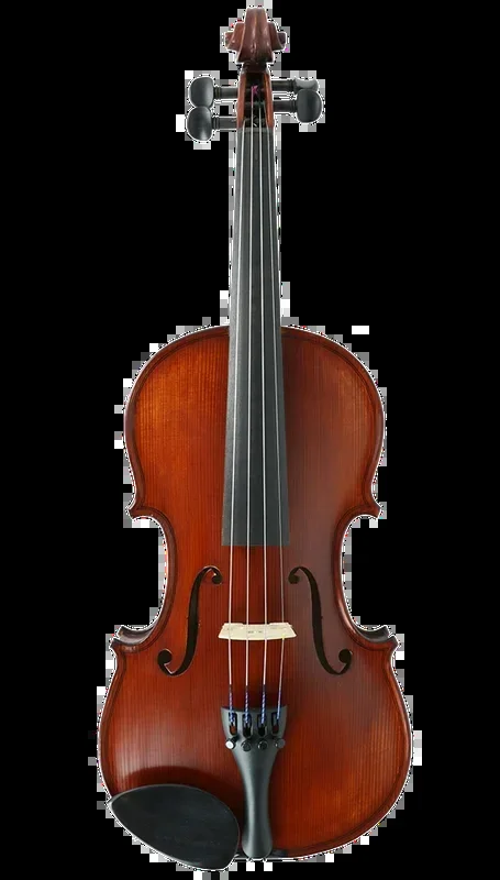 Gliga II Violin Outfit with Dark Antique Varnish 4/4