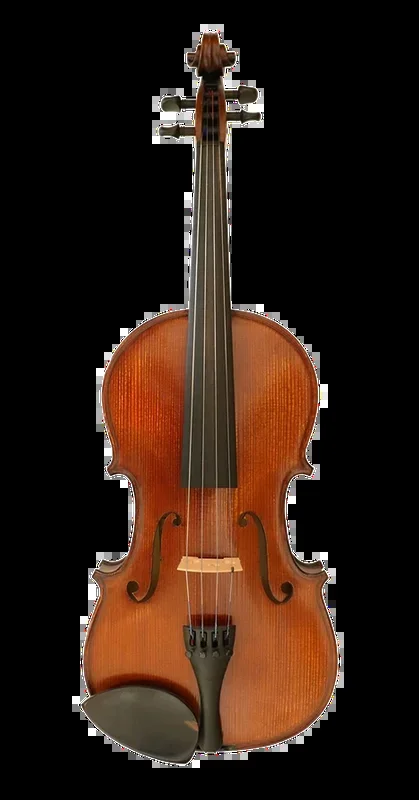 Gliga III Viola Outfit 15″