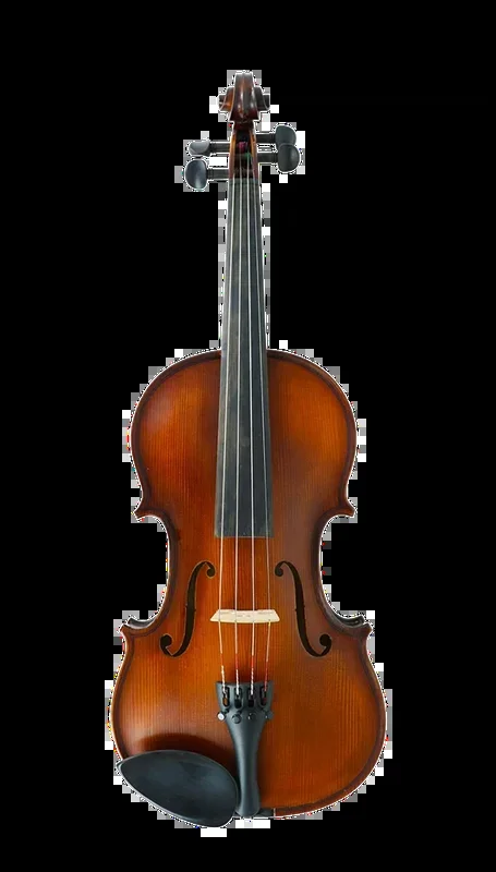 Gliga III Violin Outfit 1/32