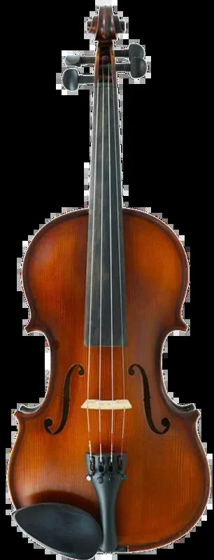 Gliga III Violin Outfit 4/4