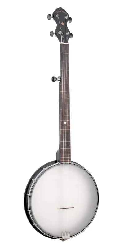 Gold Tone AC-12FL Composite Fretless Openback Banjo