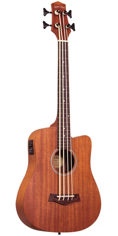 Gold Tone M-BassFL 23-Inch Scale Fretless Acoustic-Electric MicroBass with Gig Bag