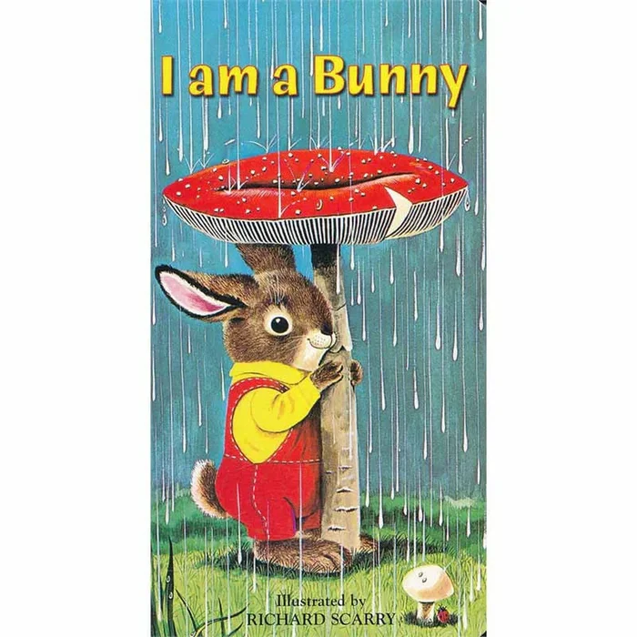 I am a bunny board book