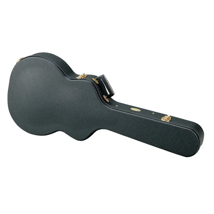 Ibanez AFSC Case