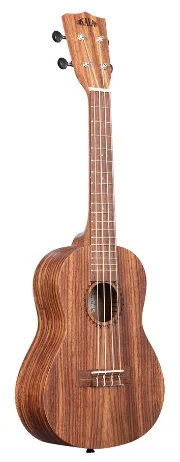Kala Teak – Concert