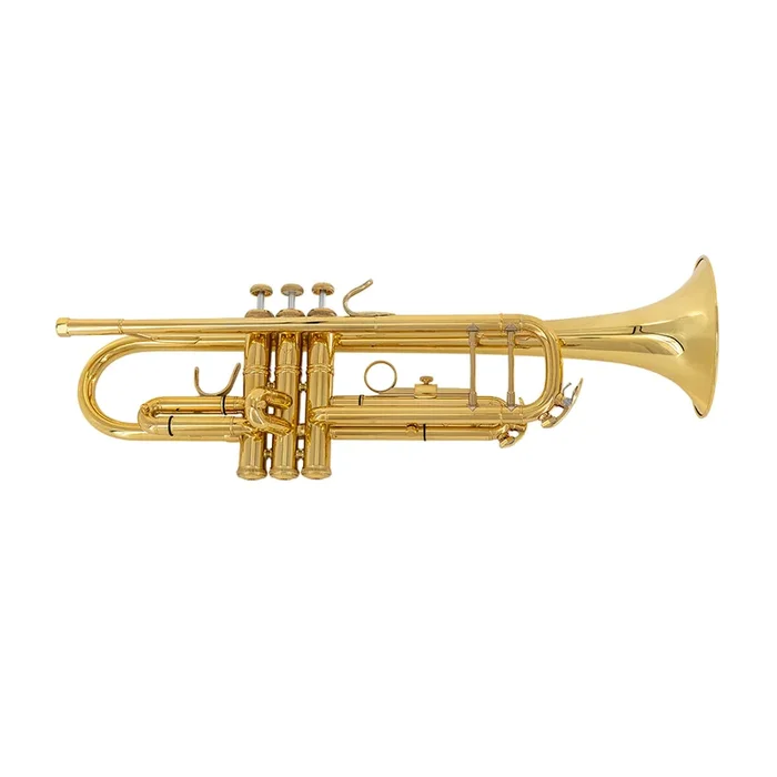Lake City Student Trumpet