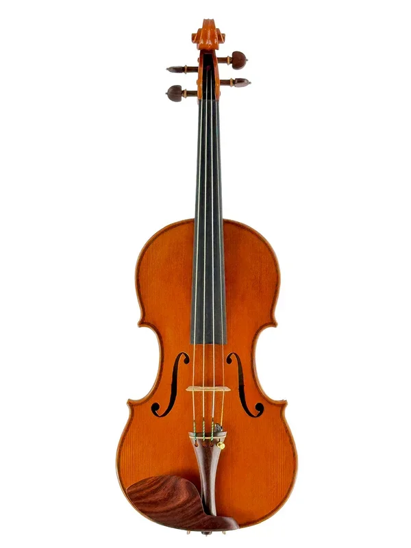 Man Claudiu Violin