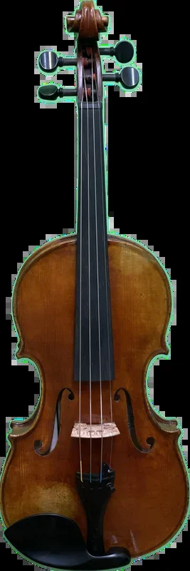 Matthias Werner Violin