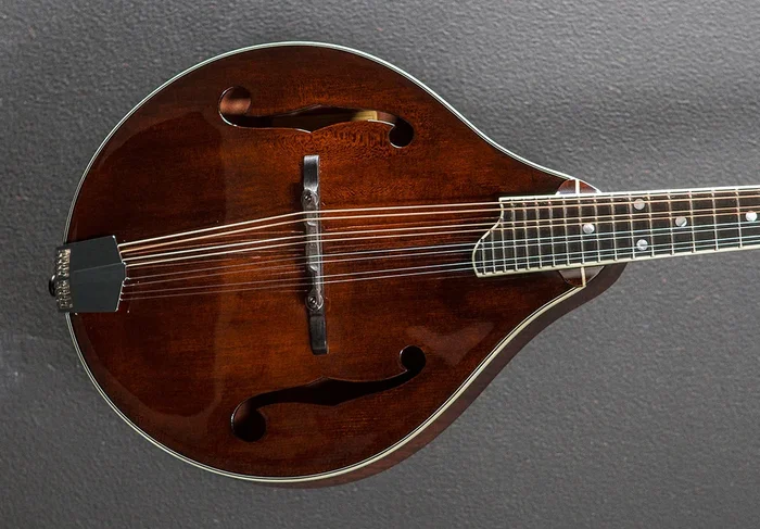 MD505 Mandolin