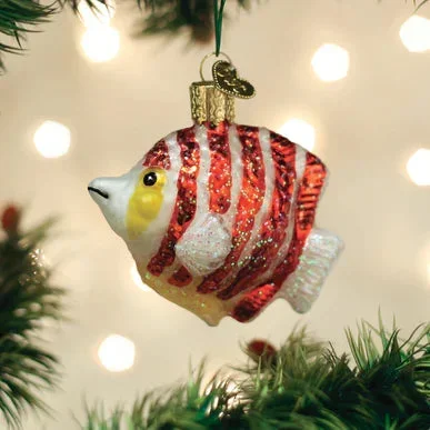 OWC- Peppermint Angelfish