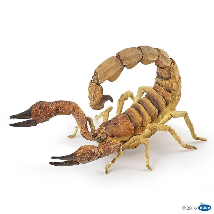 papo scorpion