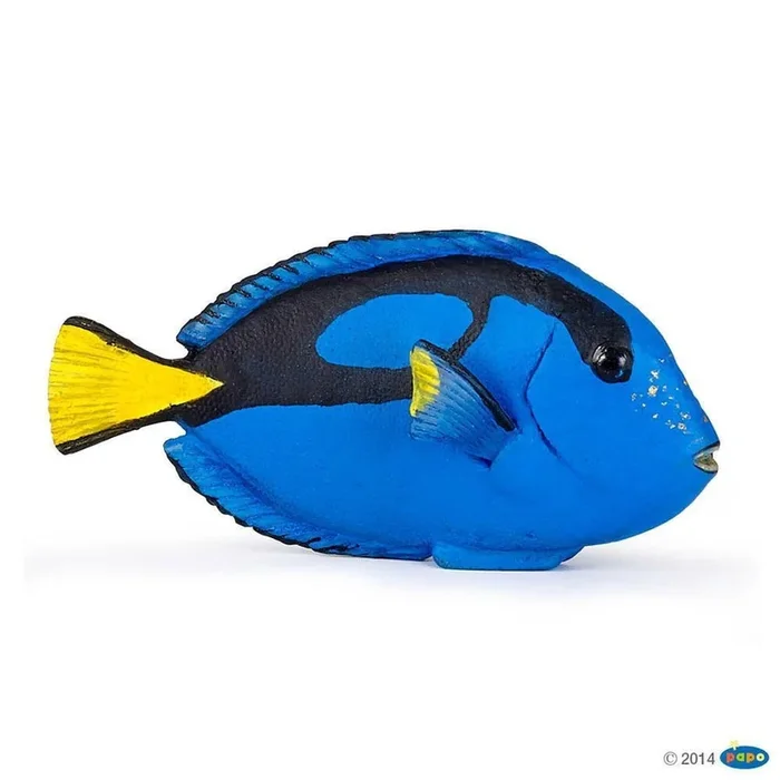 papo surgeon fish
