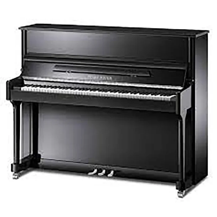 Pearl River – UP118M Galaxy Series Piano – Ebony