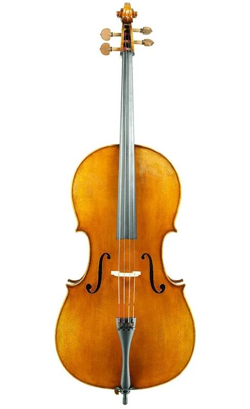 Pietro Lombardi Model 502 Cello