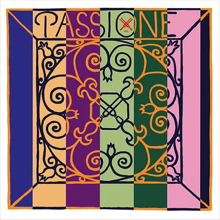 Pirastro Passione Orchestra Bass G String