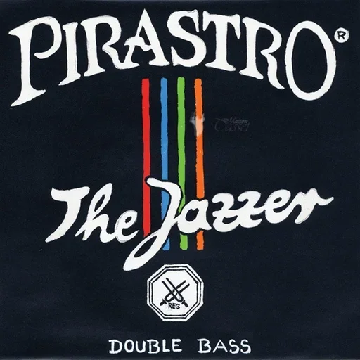 Pirastro THE JAZZER bass chrome D string