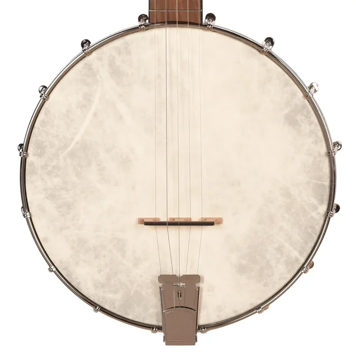 Recording King Dirty 30’s Open Back Banjo