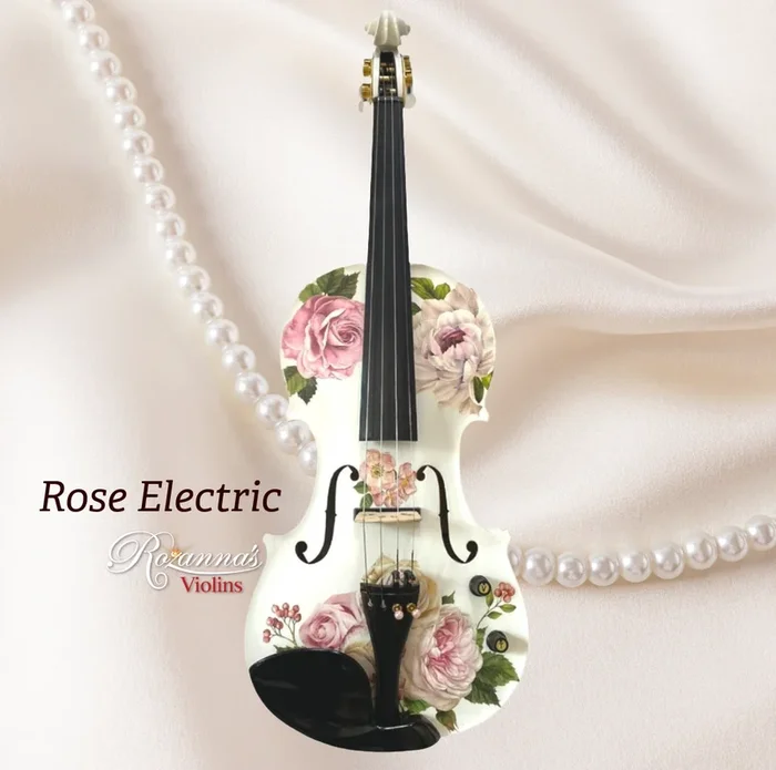 Rose Delight Electric Acoustic Violin Outfit