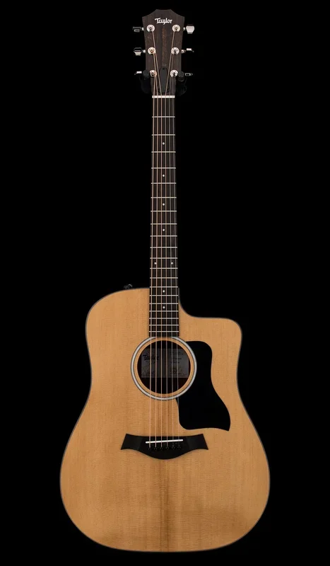 Taylor 210ce Plus #95455 (Demonstration Model)
