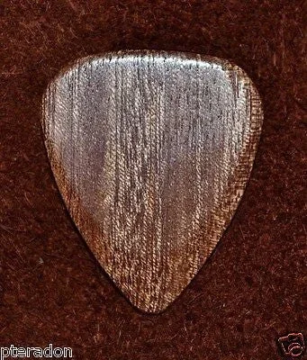 Timber Tones II Exotic Wood Guitar Pick Almondwood