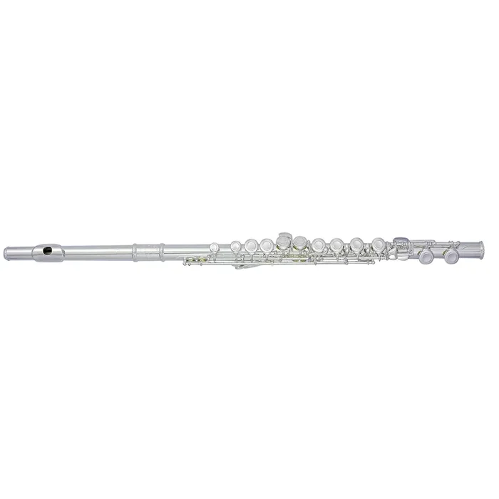 Trevor James 10XC Student Flute With Case