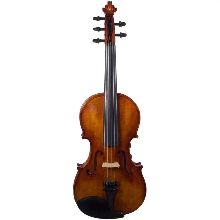 Violon Realist RV5PeFA Pro Ac-El avec finition Instant Active, Frantique et chevilles Wittner Finetune