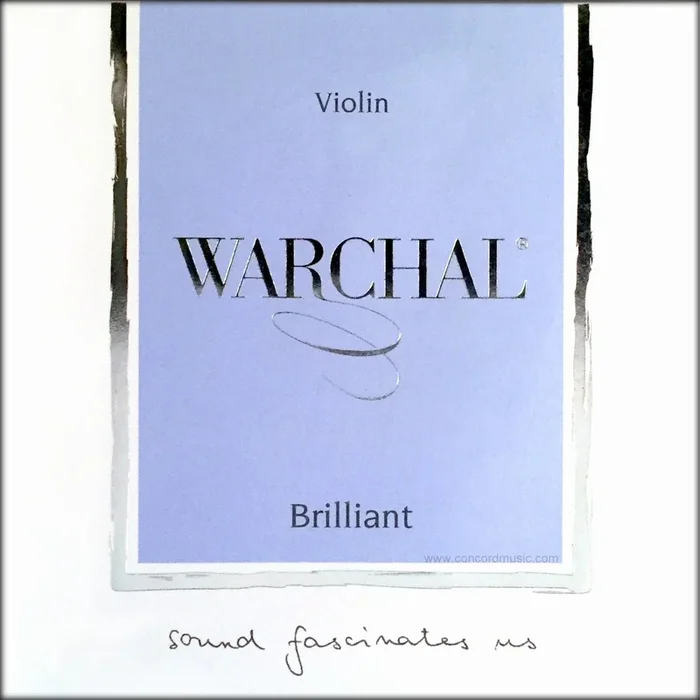 Warchal Brilliant Violin Set with Silver D